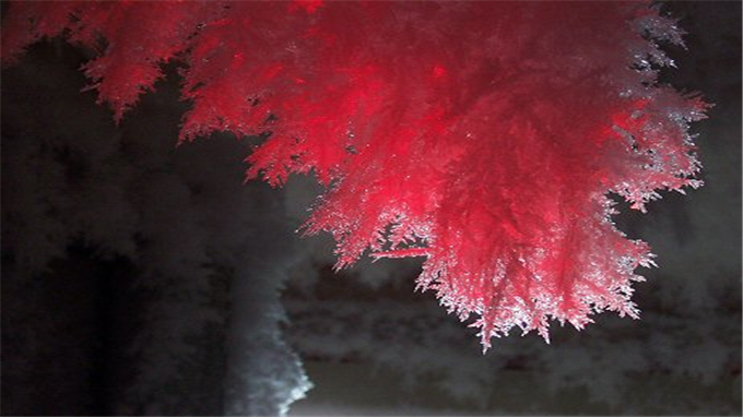 SCP基金会档案库：SCP-009“红冰”图片